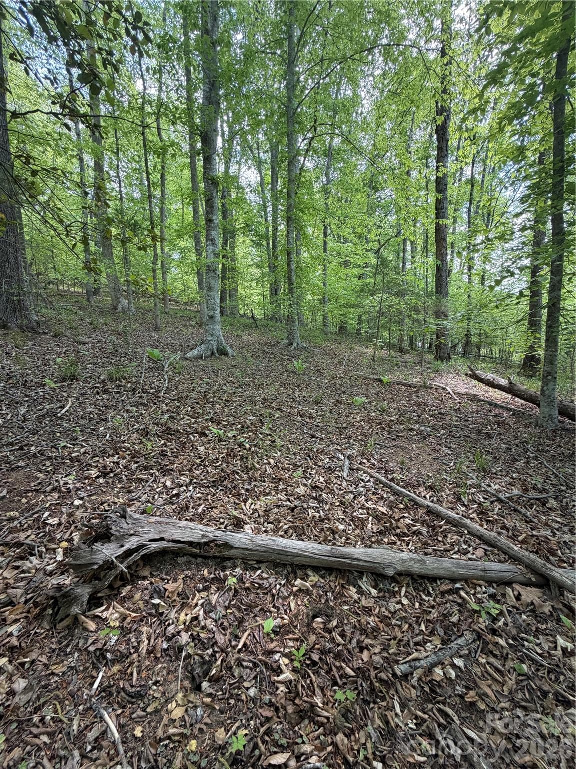 Lot at 0 Overstone Drive, Rutherfordton, photo 15 of 17