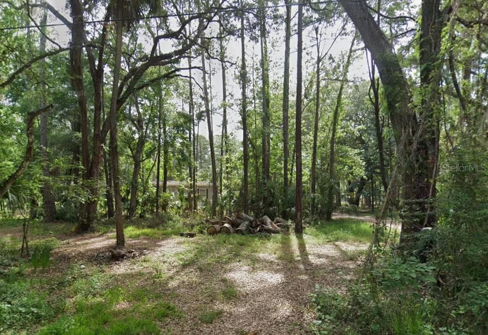 Land at 10600 and 10603 W OLIVER ST, HOMOSASSA, photo 5 of 6