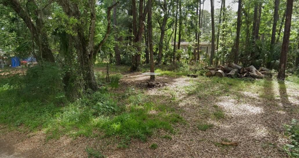 Land at 10600 and 10603 W OLIVER ST, HOMOSASSA, photo 6 of 6