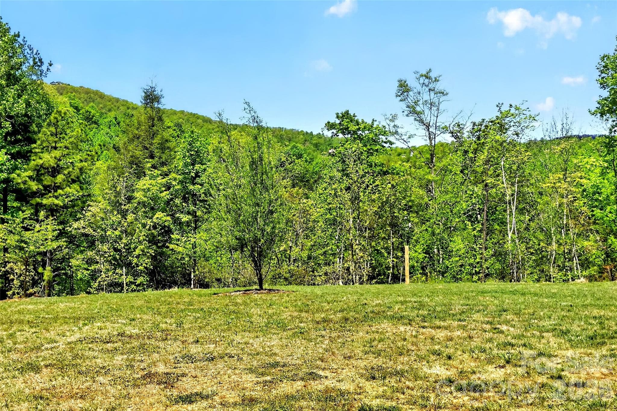 Incredible flat space for gardening or anything else you desire! - Black Mountain