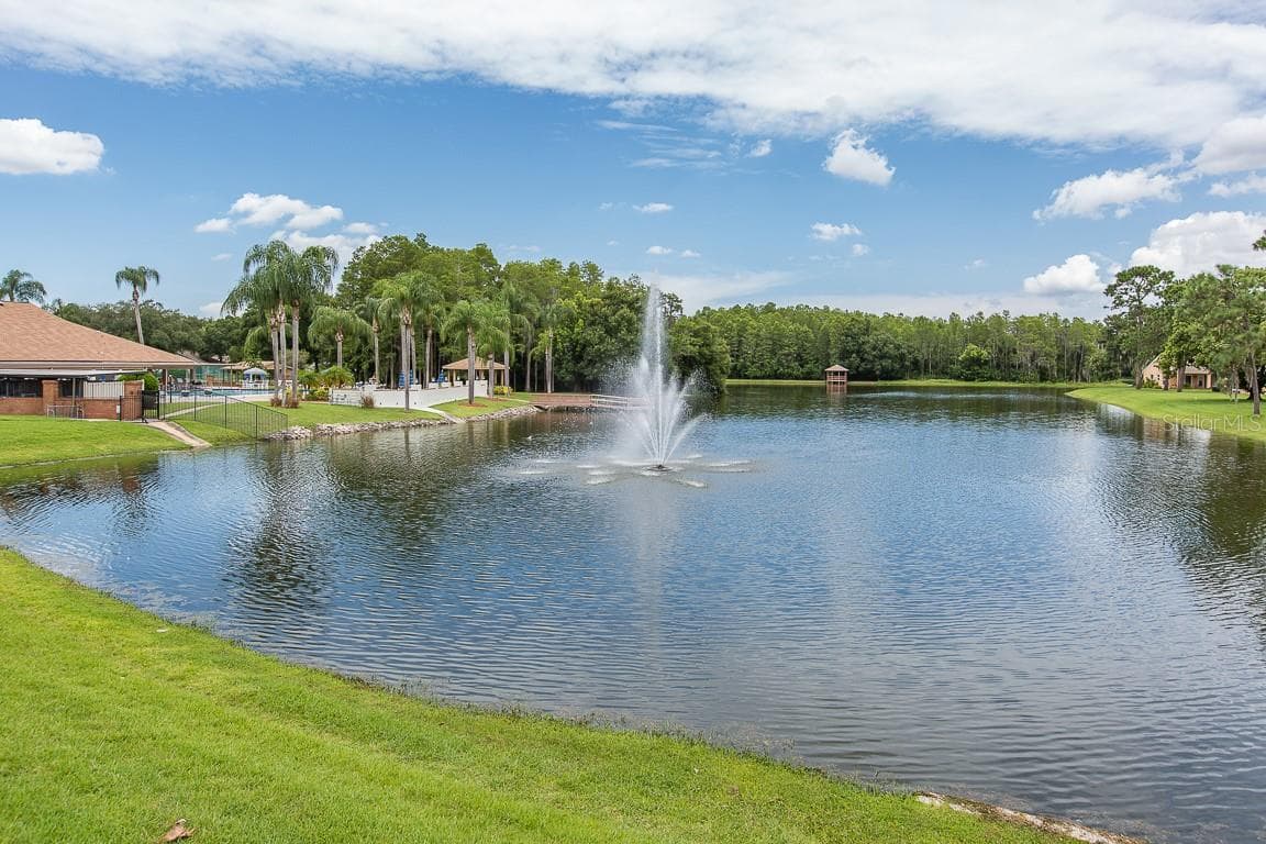 Single Family Residence at 4719 CAVENDISH DR, NEW PORT RICHEY, photo 43 of 66