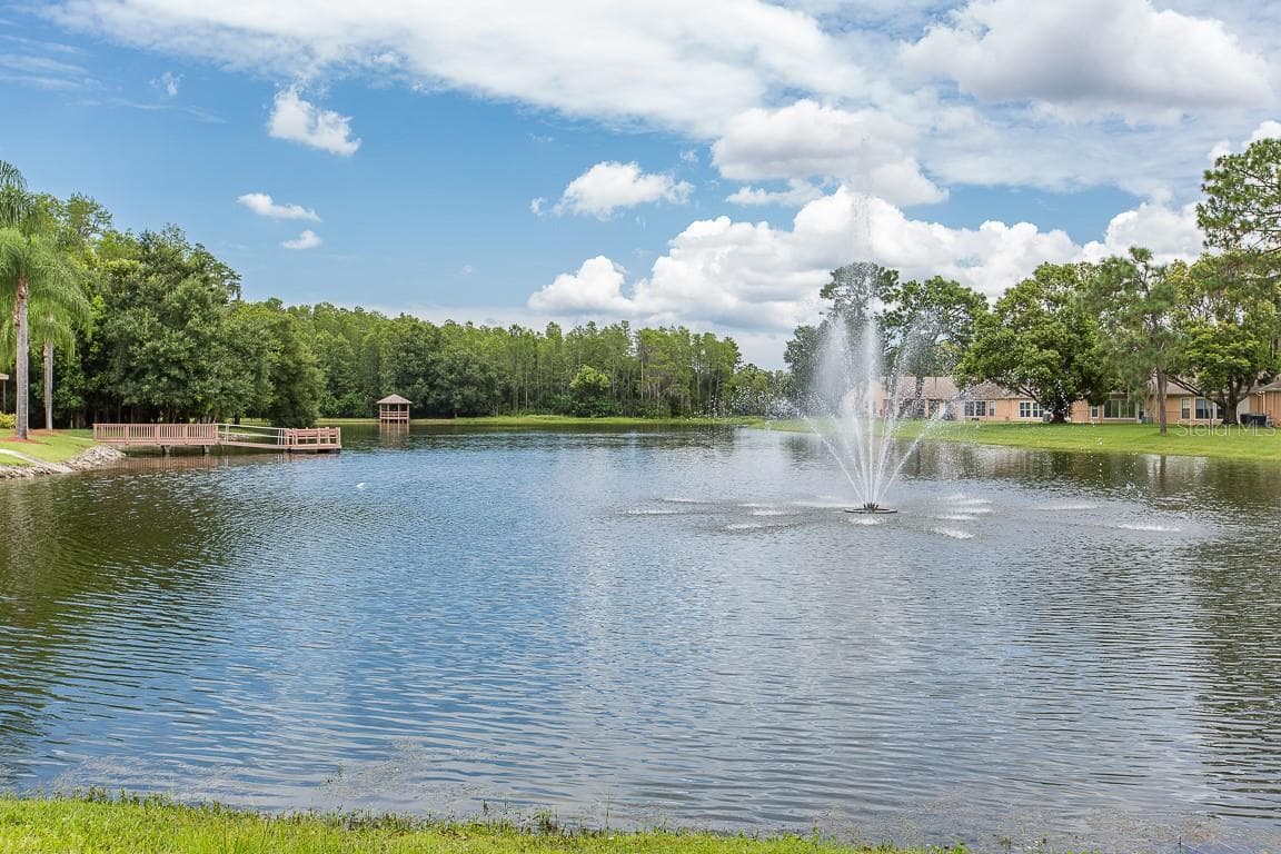 Single Family Residence at 4719 CAVENDISH DR, NEW PORT RICHEY, photo 44 of 66