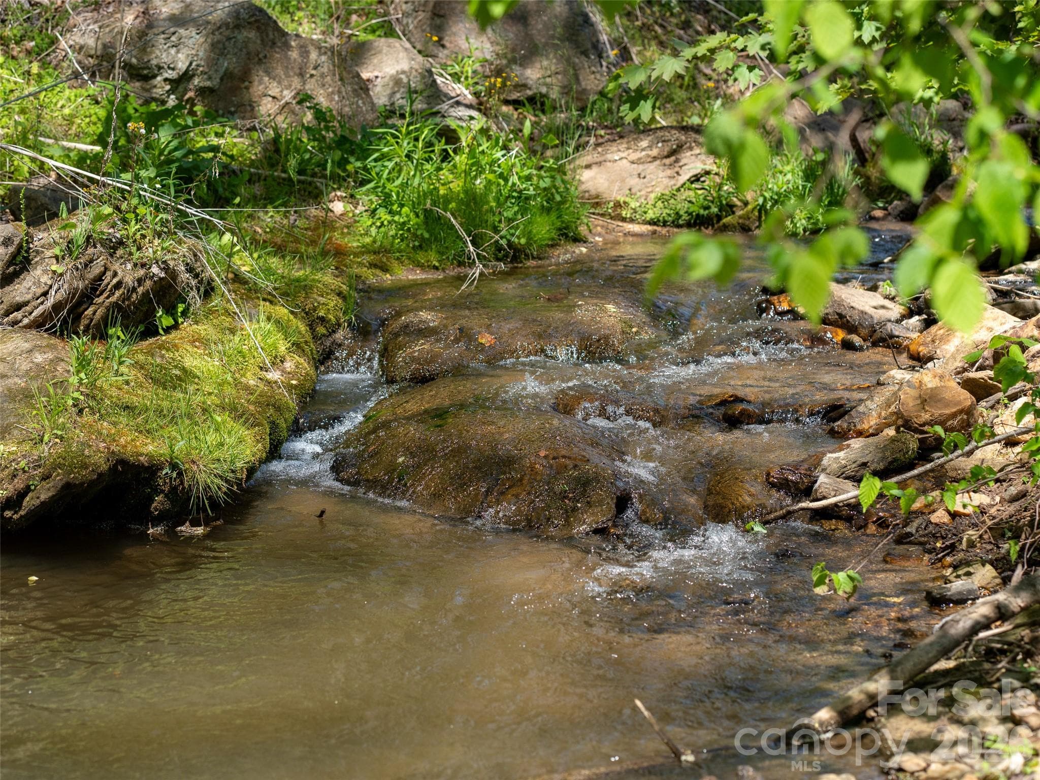 California Creek - 5881 US 23 Highway, Mars Hill