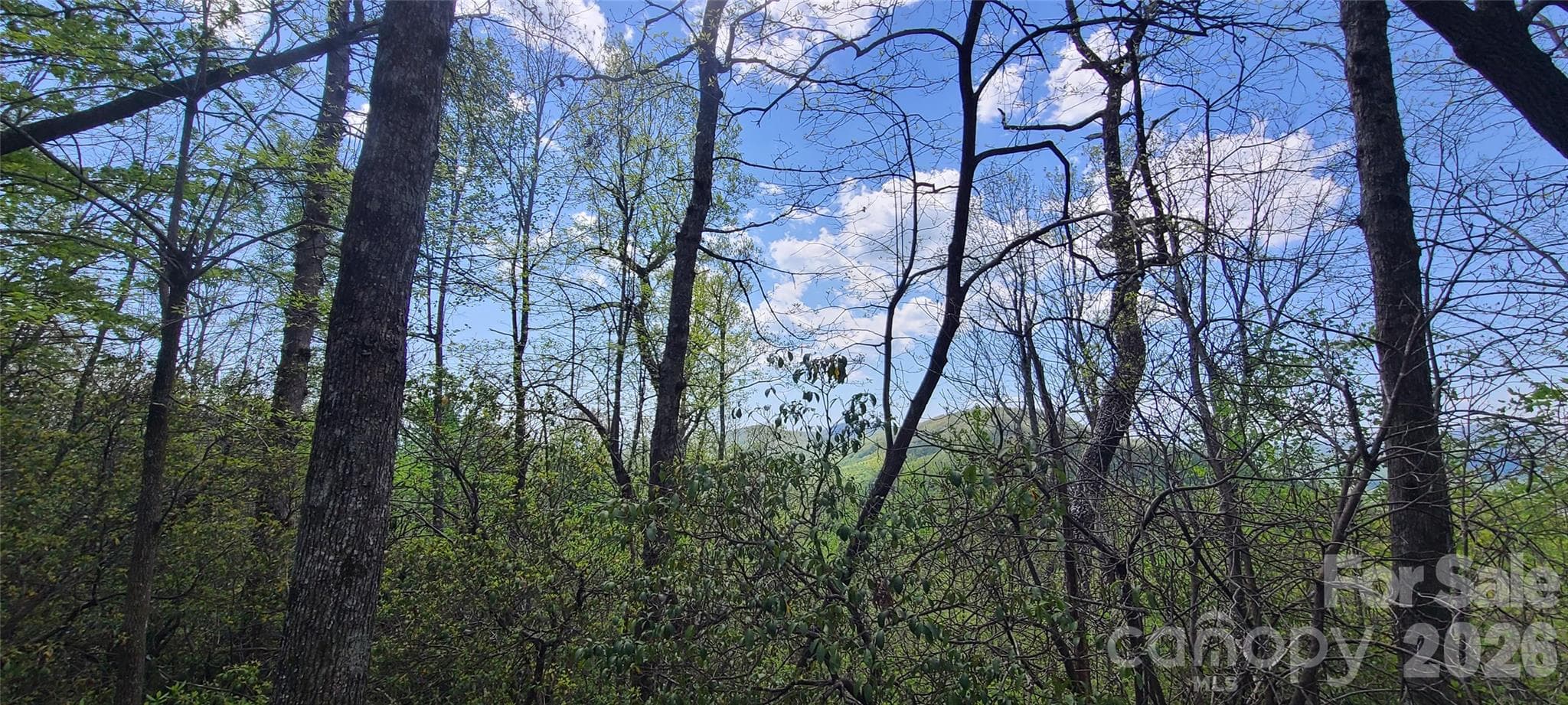 Lot at Black Mountain, photo 2 of 11