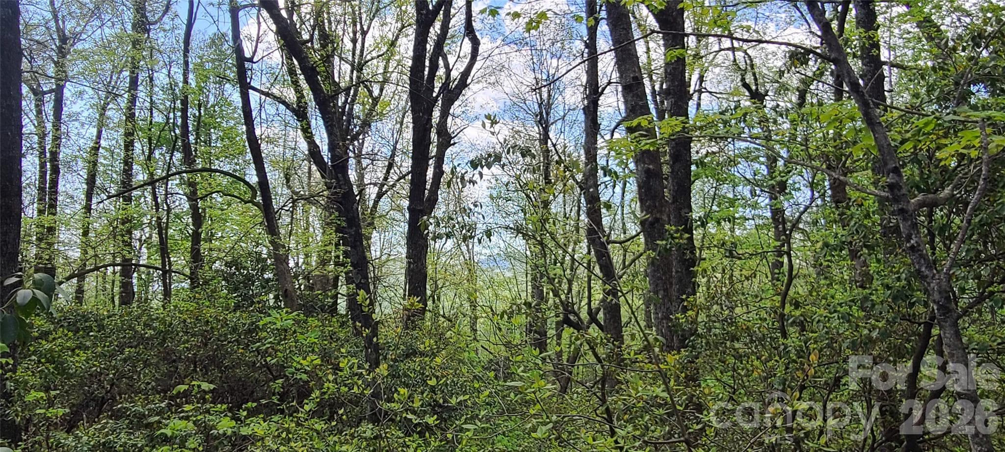 Lot at Black Mountain, photo 3 of 11