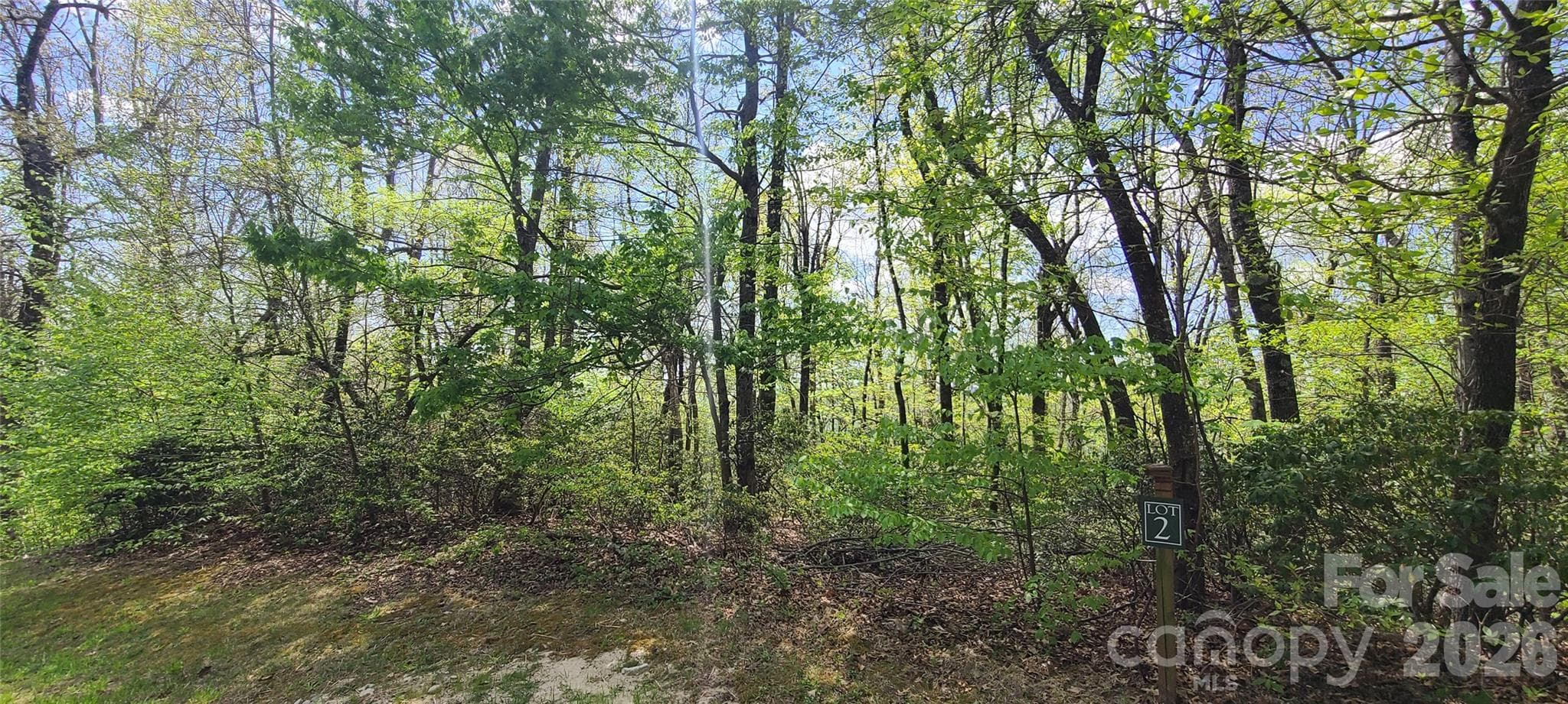 Lot at Black Mountain, photo 4 of 11
