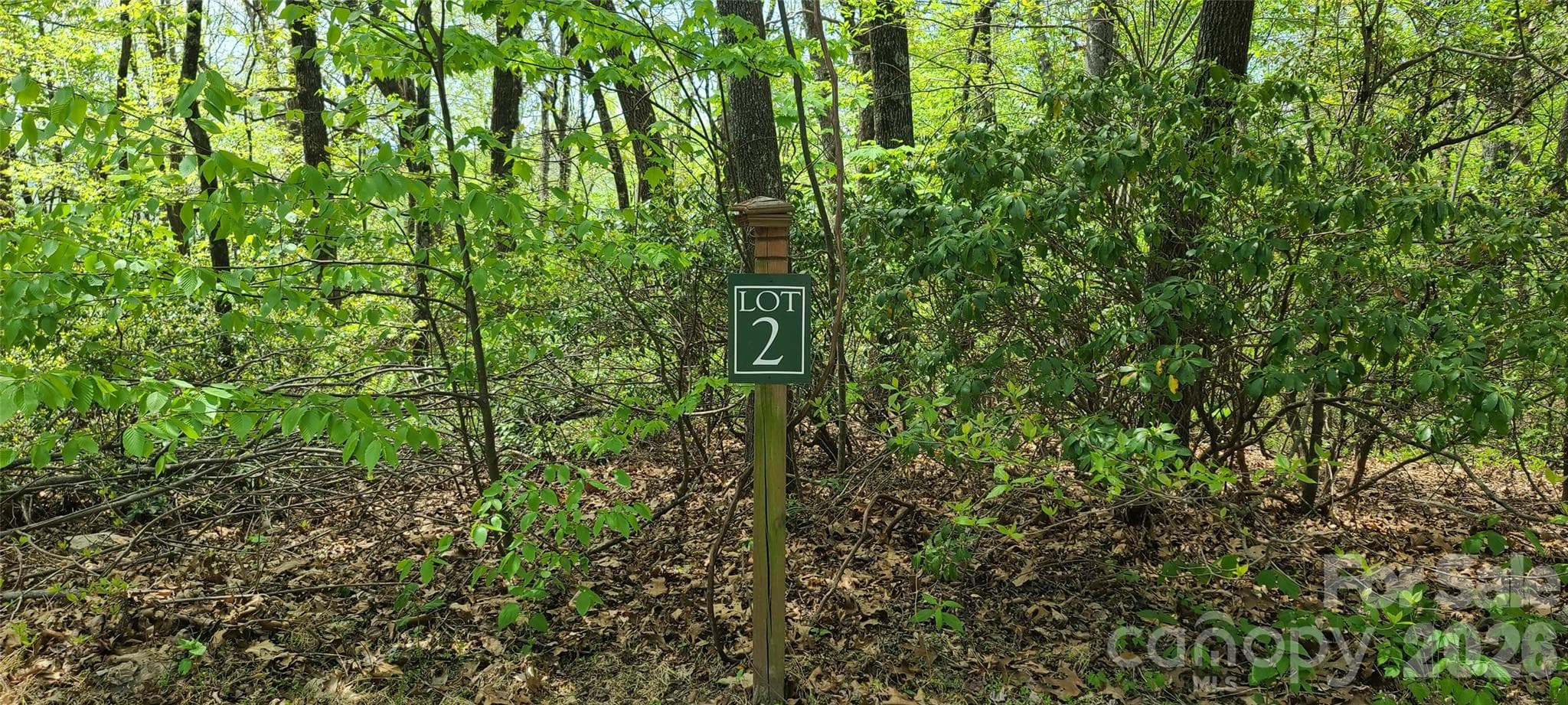 Lot at Black Mountain, photo 5 of 11