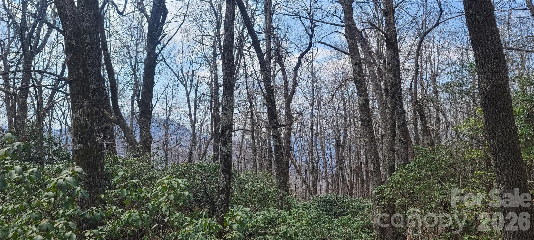 Lot at Black Mountain, photo 6 of 11