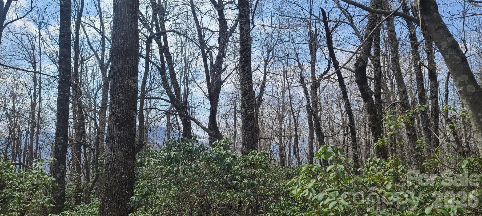 Lot at Black Mountain, photo 7 of 11