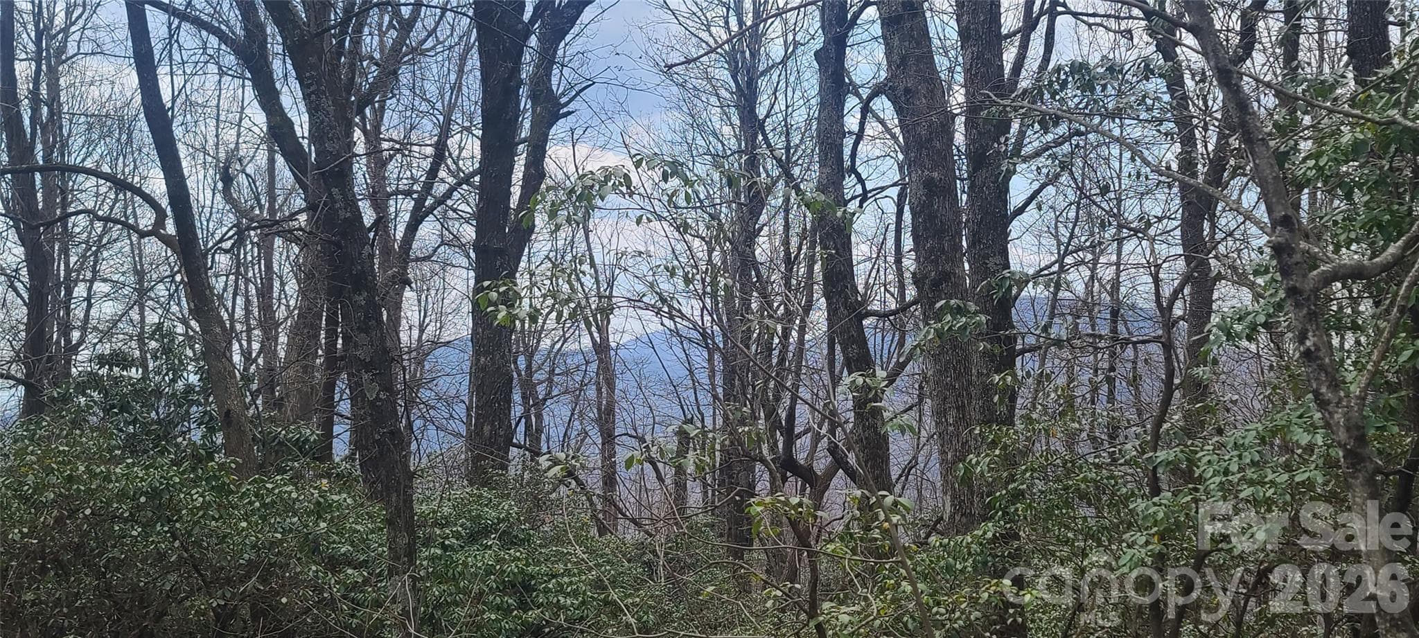 Lot at Black Mountain, photo 8 of 11