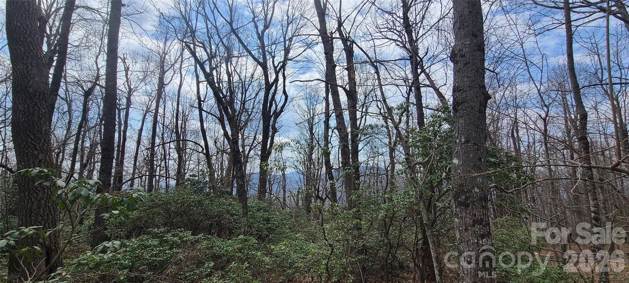 Lot at Black Mountain, photo 9 of 11