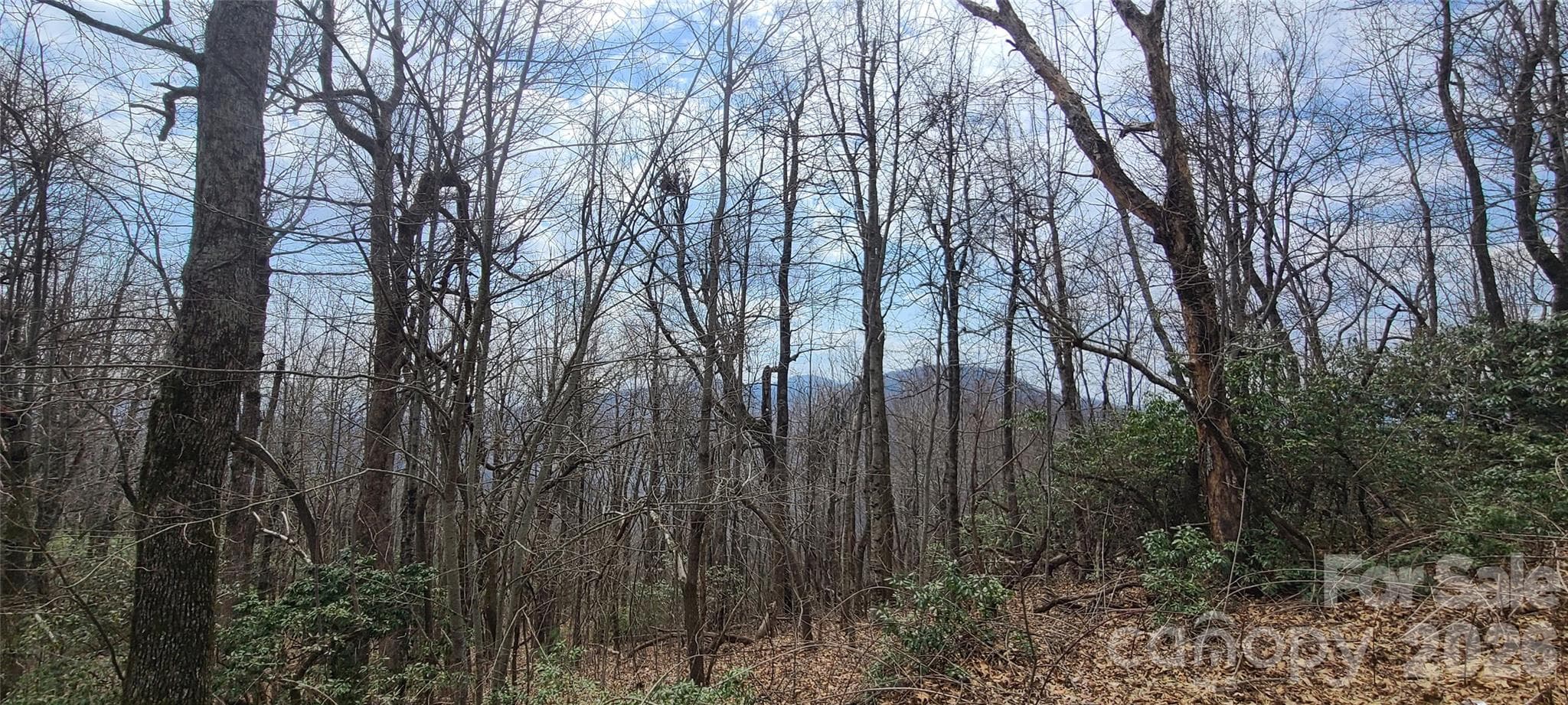 Lot at Black Mountain, photo 10 of 11