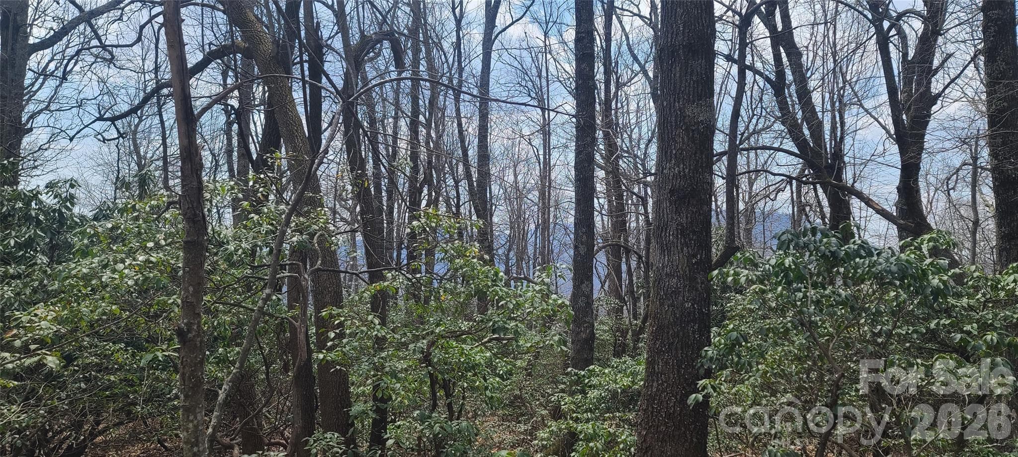 Lot at Black Mountain, photo 11 of 11