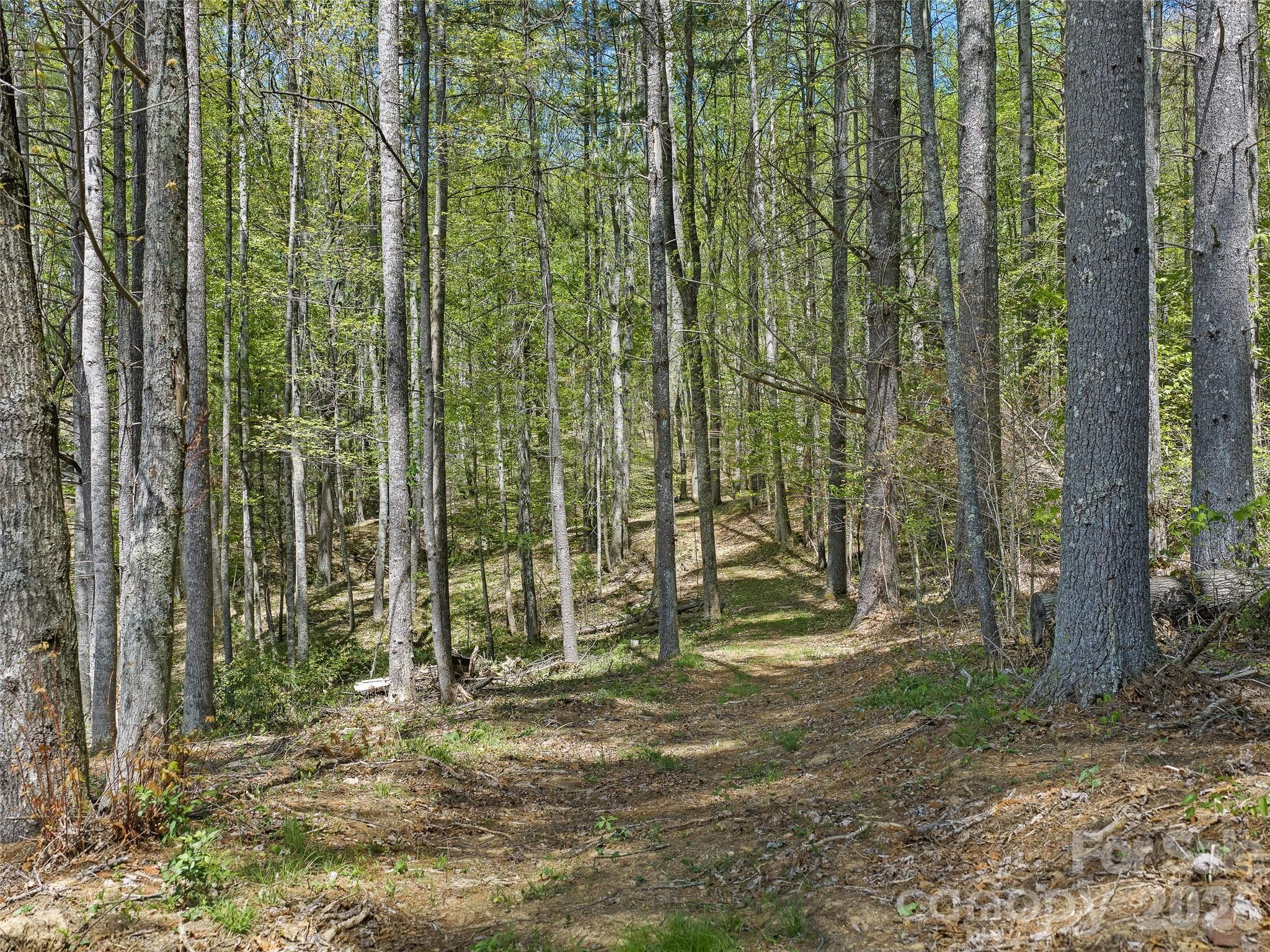 Acreage at Burnsville, photo 3 of 14