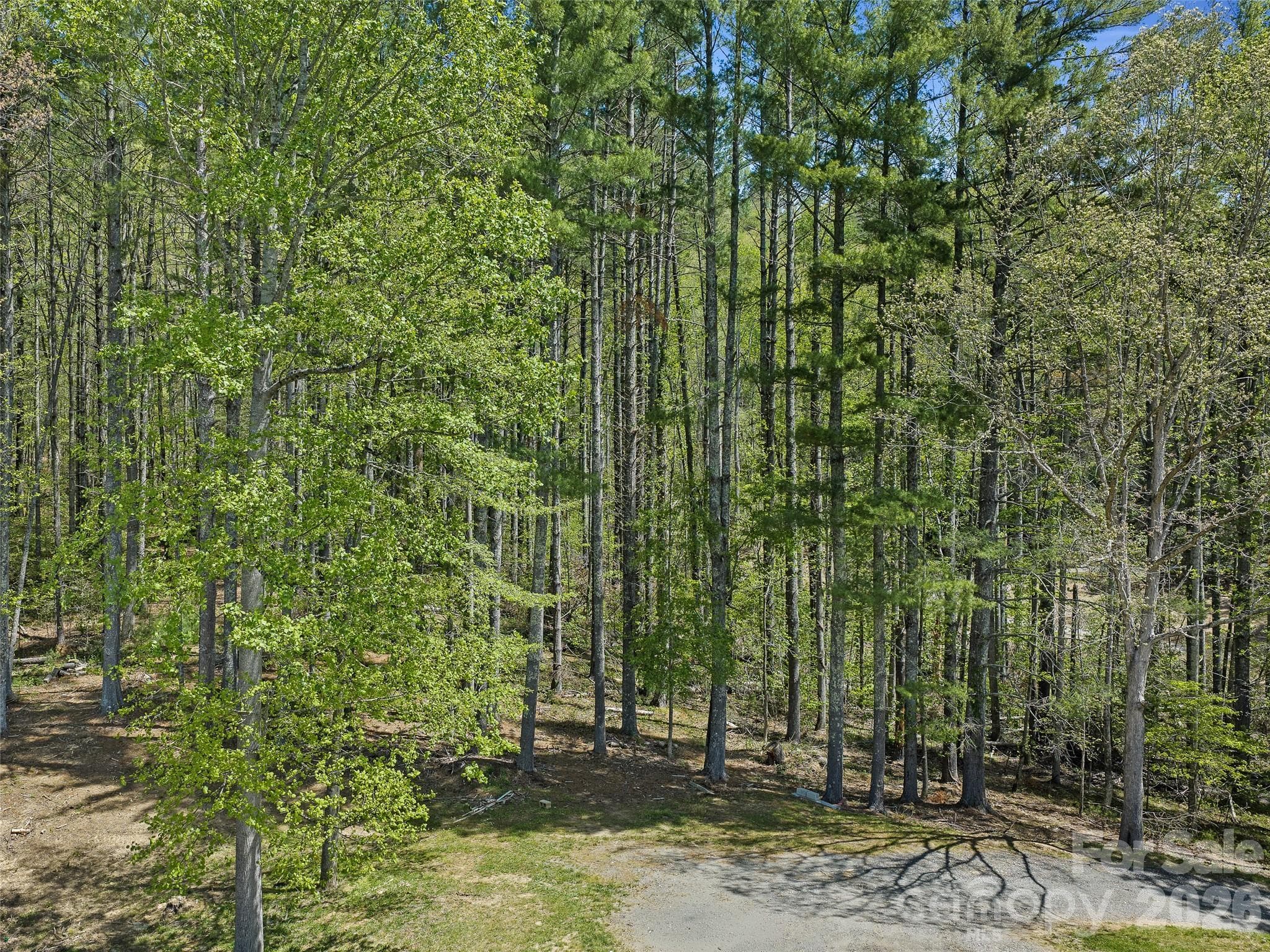 Acreage at Burnsville, photo 5 of 14