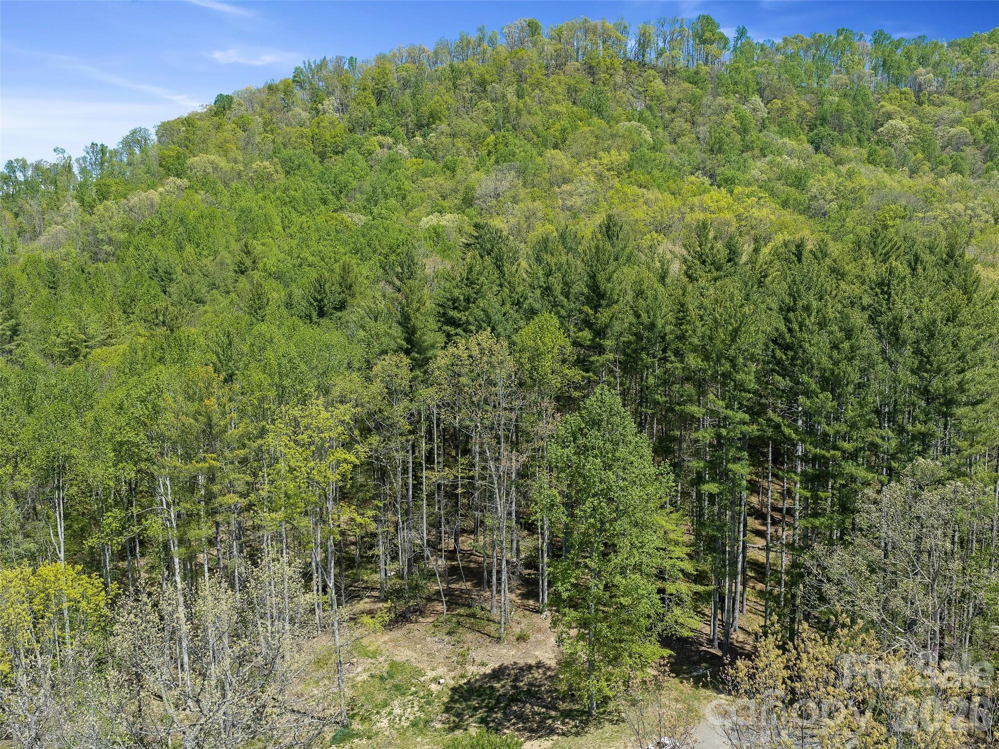 Acreage at Burnsville, photo 11 of 14