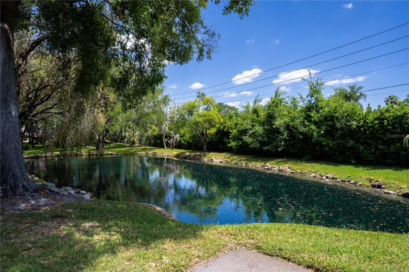 Condominium at 514 TABOR CT #C, SAFETY HARBOR, photo 41 of 50