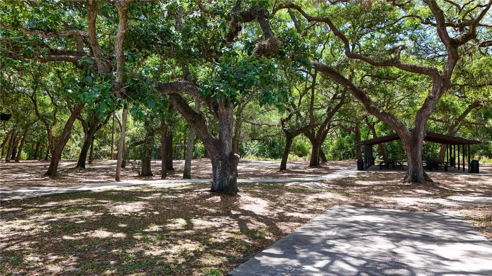 Condominium at 514 TABOR CT #C, SAFETY HARBOR, photo 46 of 50