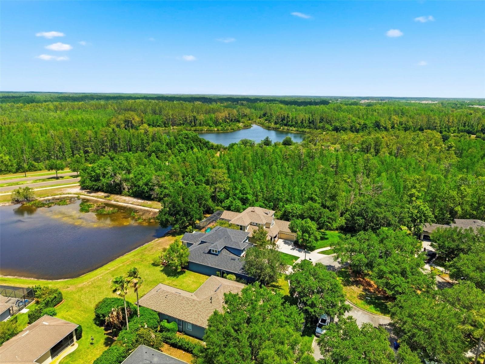 Single Family Residence at 20629 WILD PLUM CT, LAND O LAKES, photo 78 of 89