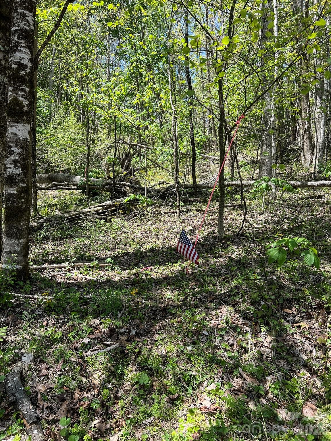 Lot# 34 Buckeye Creek Road