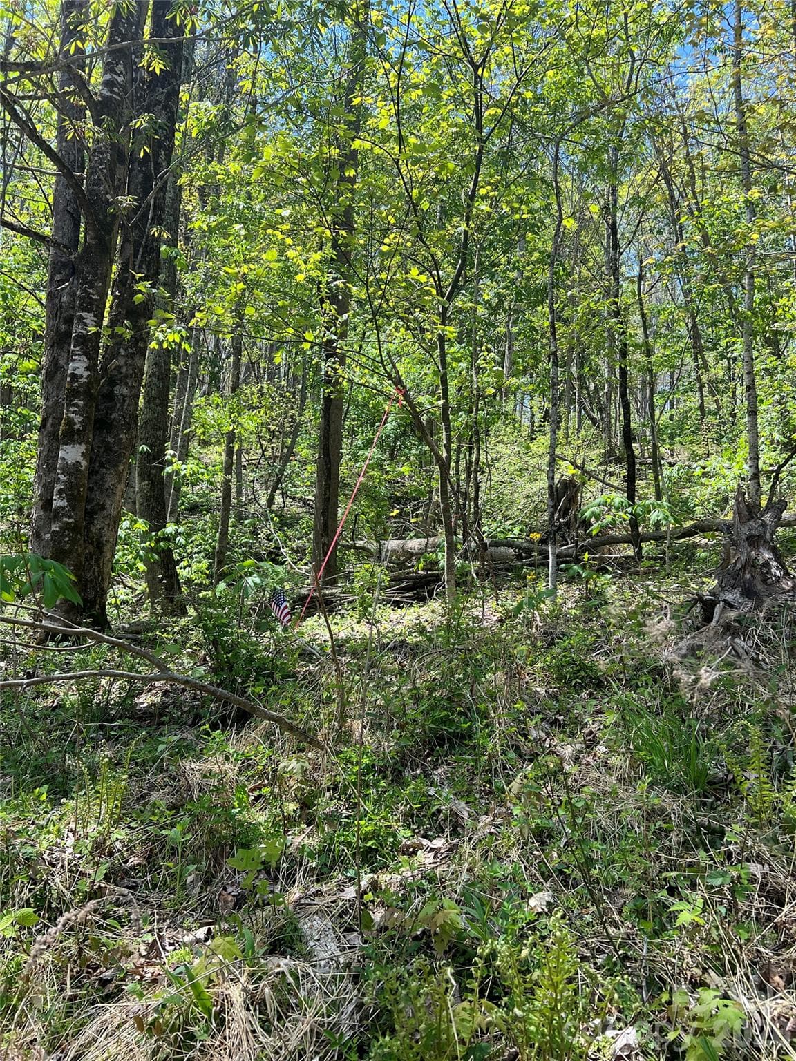 Right Front Property Line - Lot# 34 Buckeye Creek Road, Beech Mountain