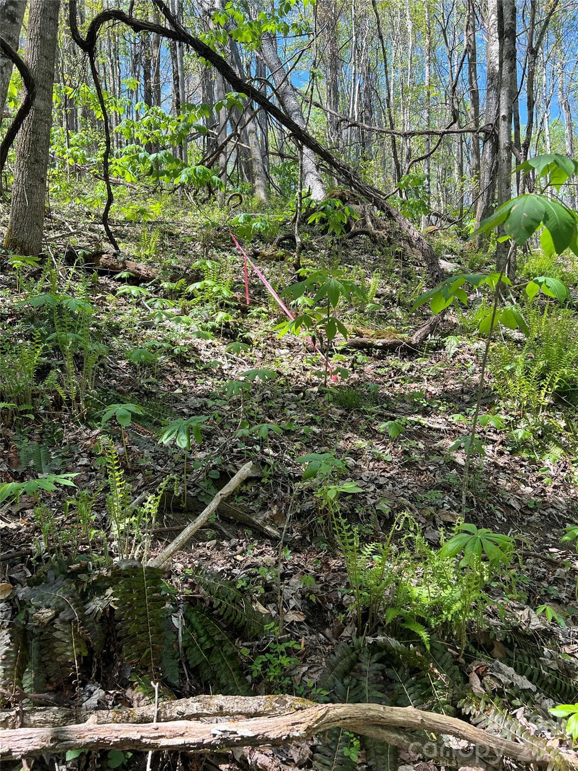 Back Left Property Pin Marked - Lot# 34 Buckeye Creek Road, Beech Mountain
