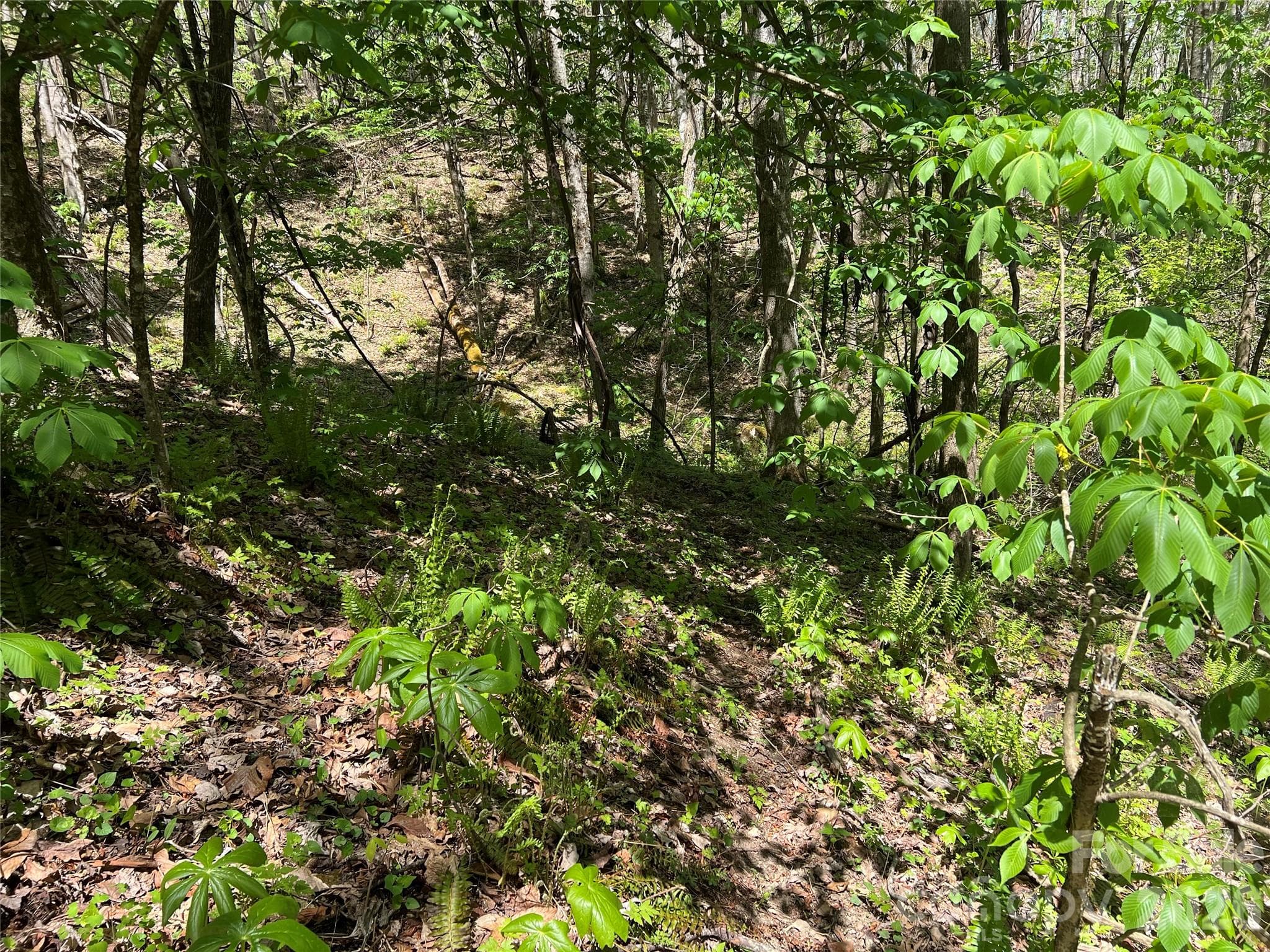 Lot at Lot# 34 Buckeye Creek Road, Beech Mountain, photo 11 of 23