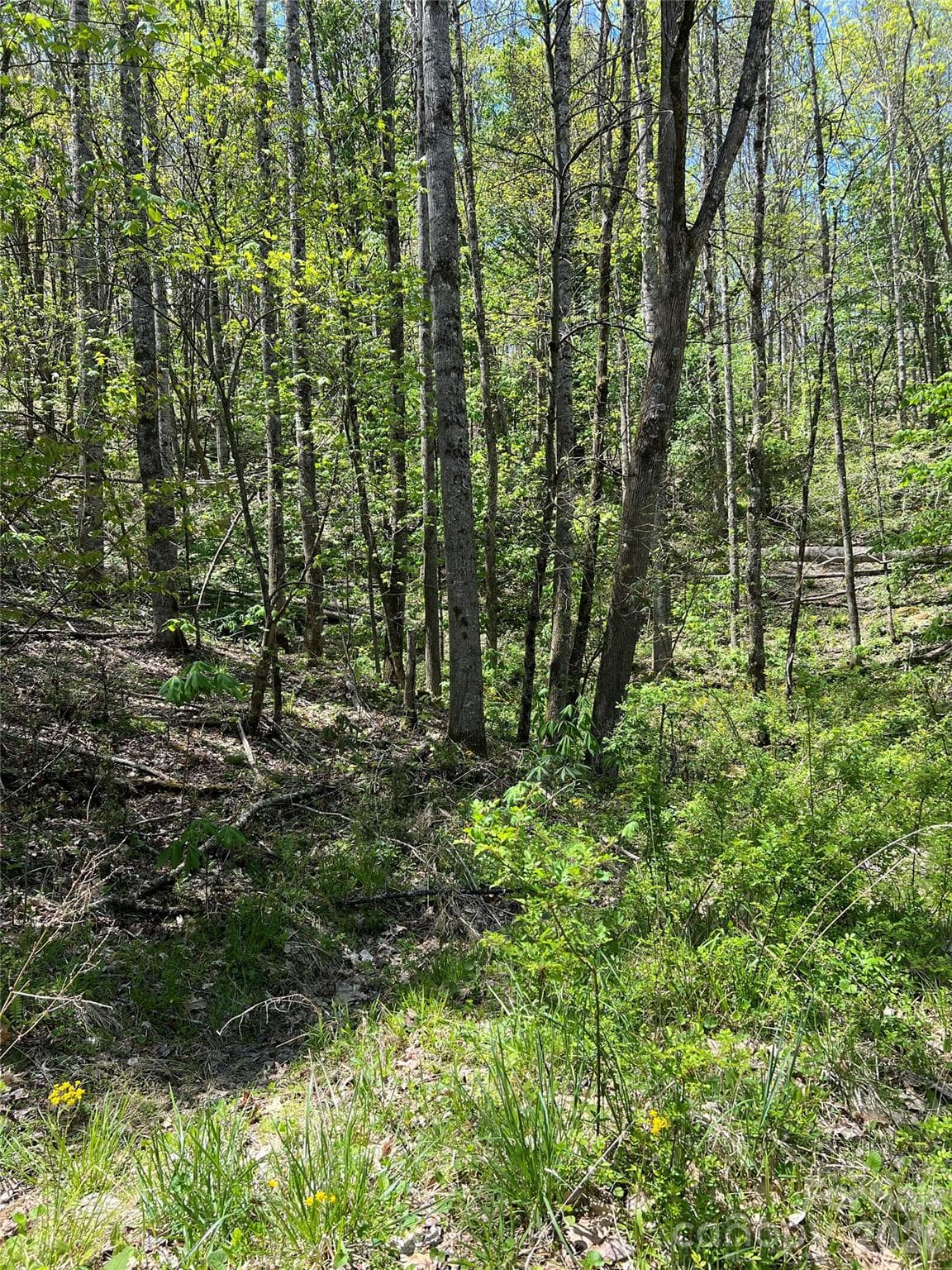 Lot at Lot# 34 Buckeye Creek Road, Beech Mountain, photo 16 of 23