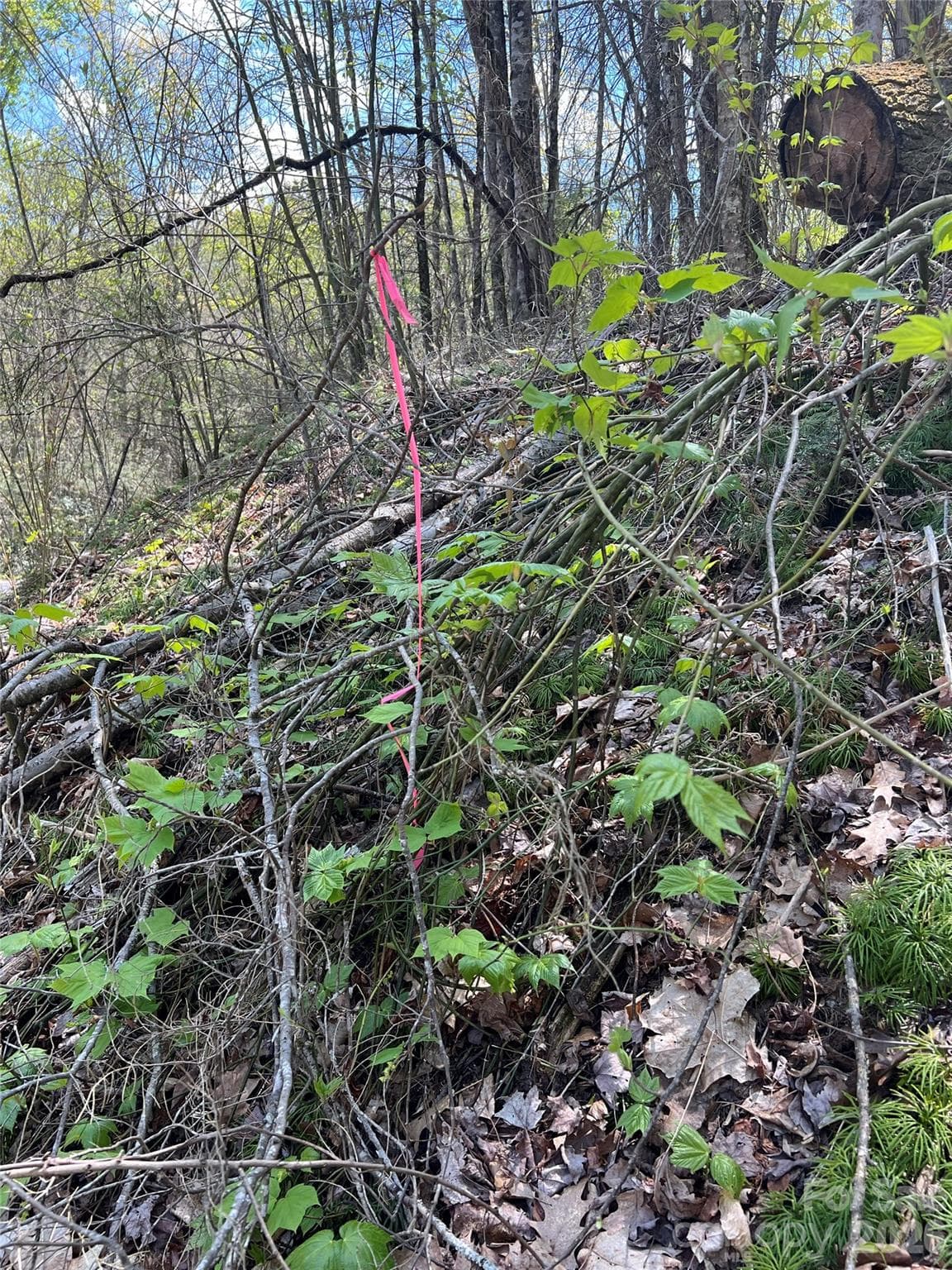 Left Front Property Pin - Lot# 34 Buckeye Creek Road, Beech Mountain