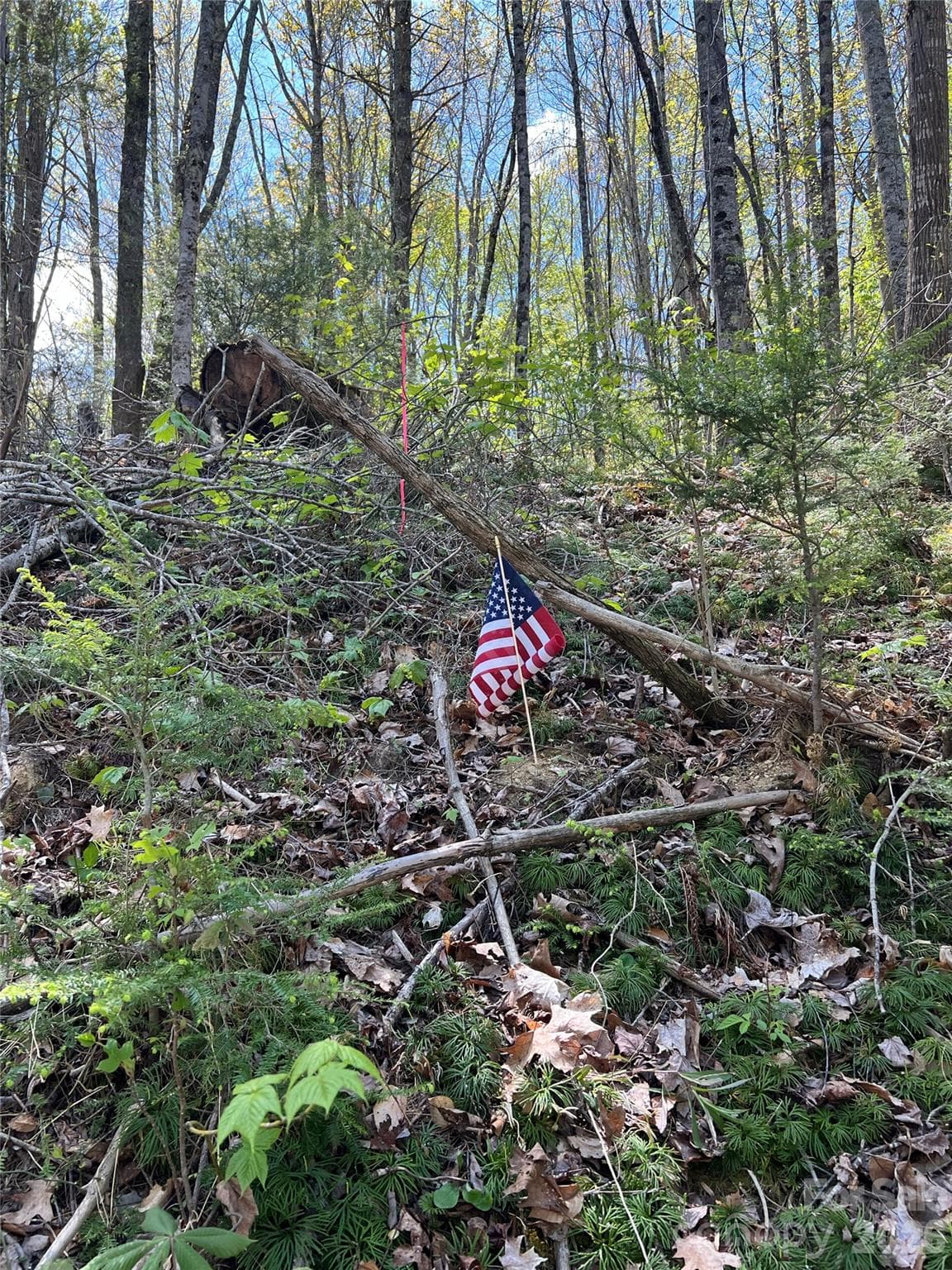 Pin at American Flag - Lot# 34 Buckeye Creek Road, Beech Mountain