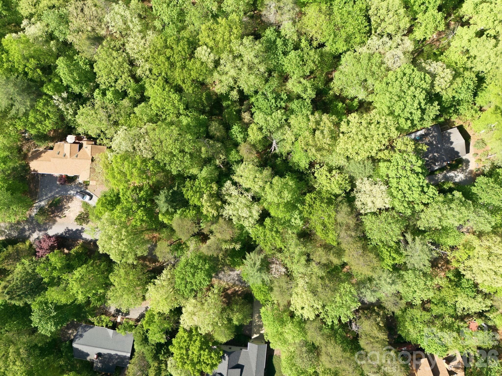 Lot at Lake Lure, photo 2 of 15