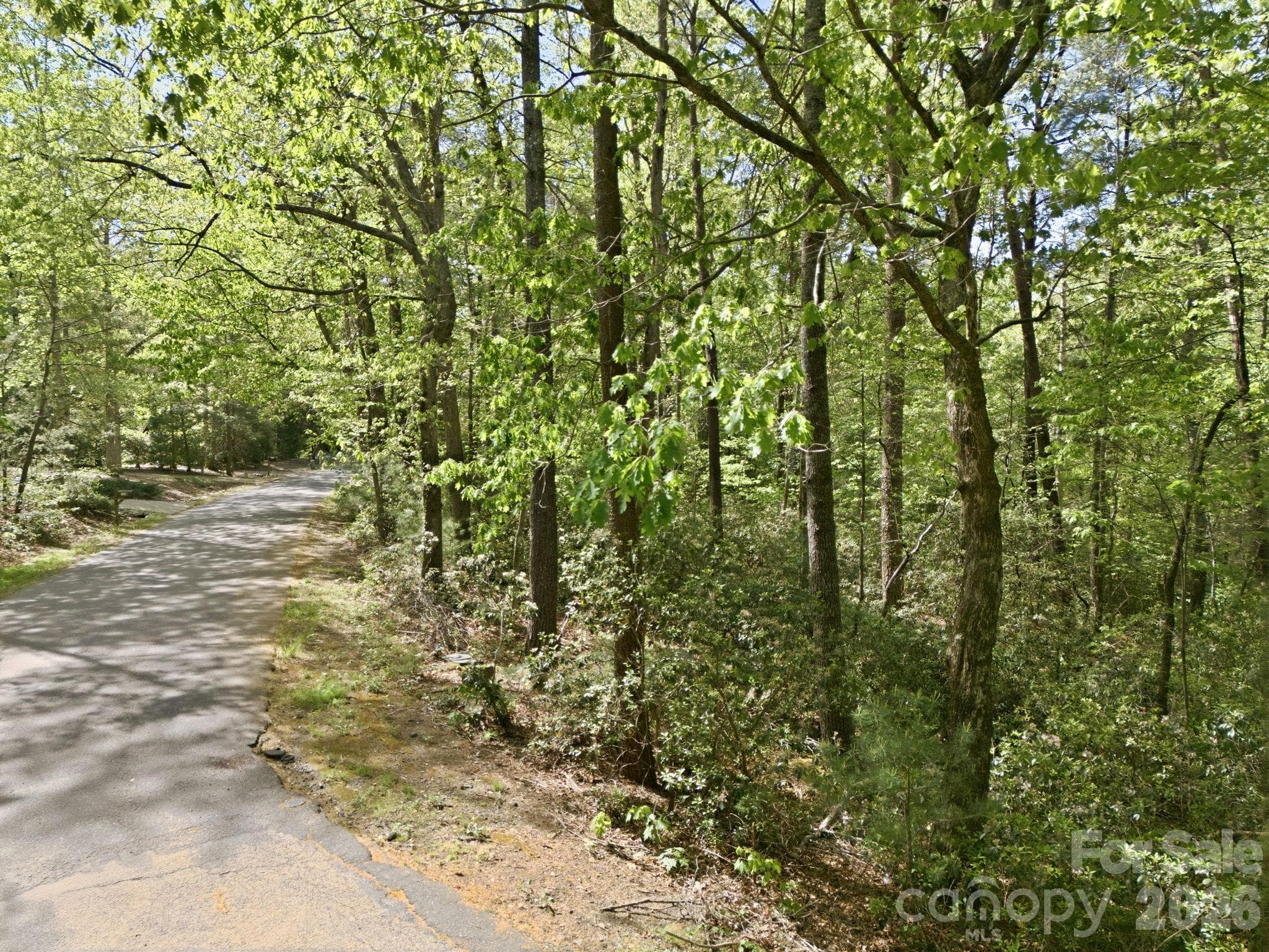 Lot at Lake Lure, photo 3 of 15