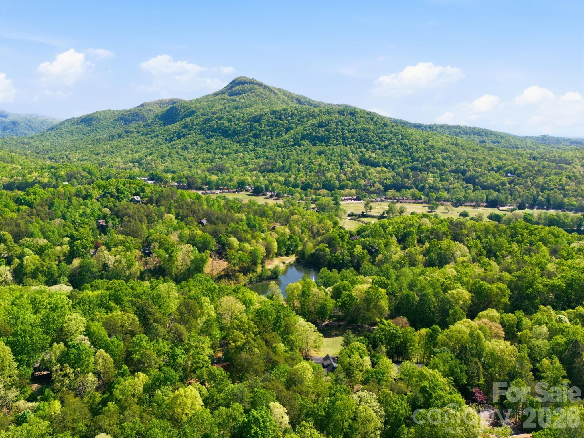 Lot at Lake Lure, photo 5 of 15