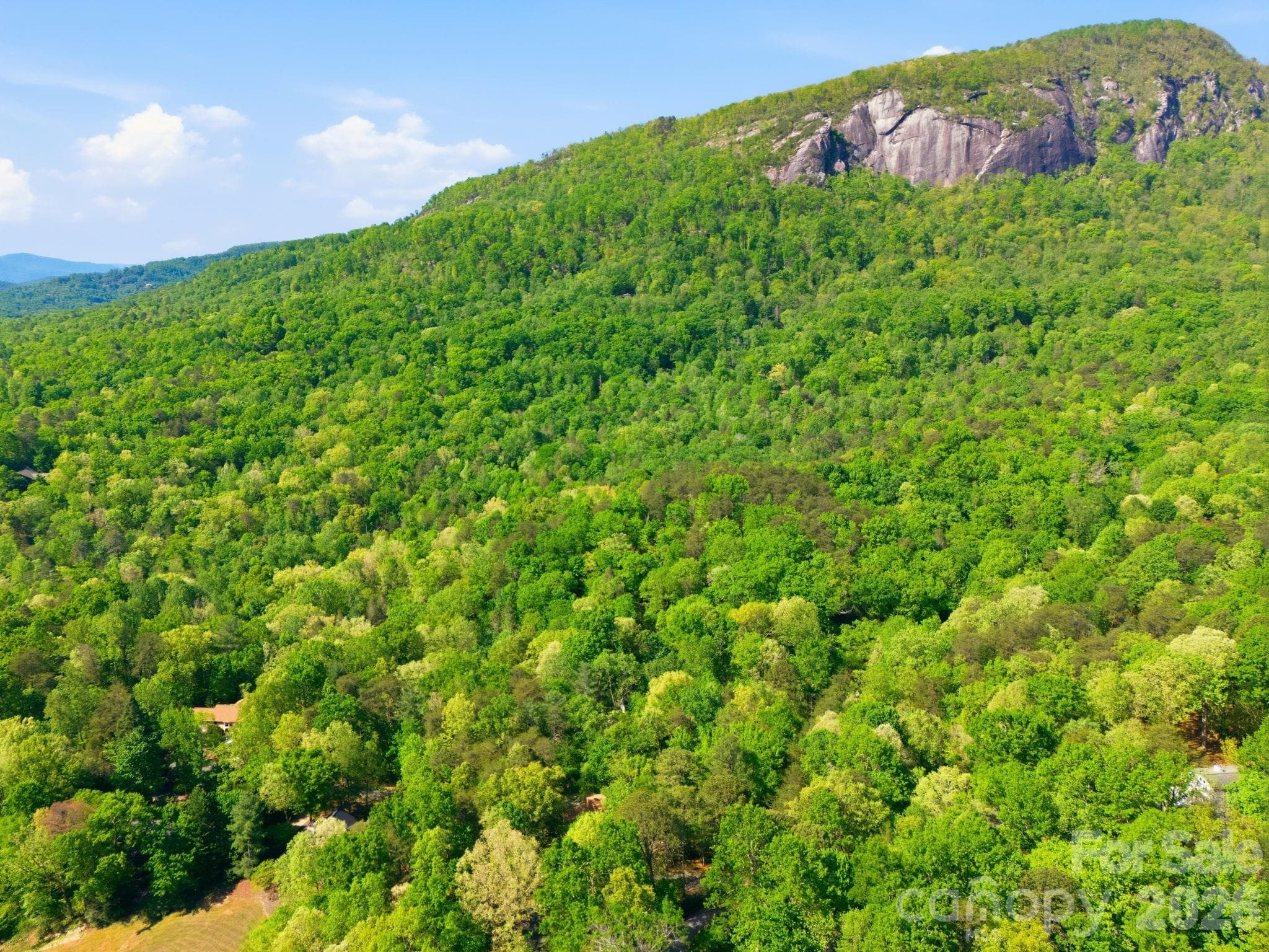 Lot at Lake Lure, photo 7 of 15