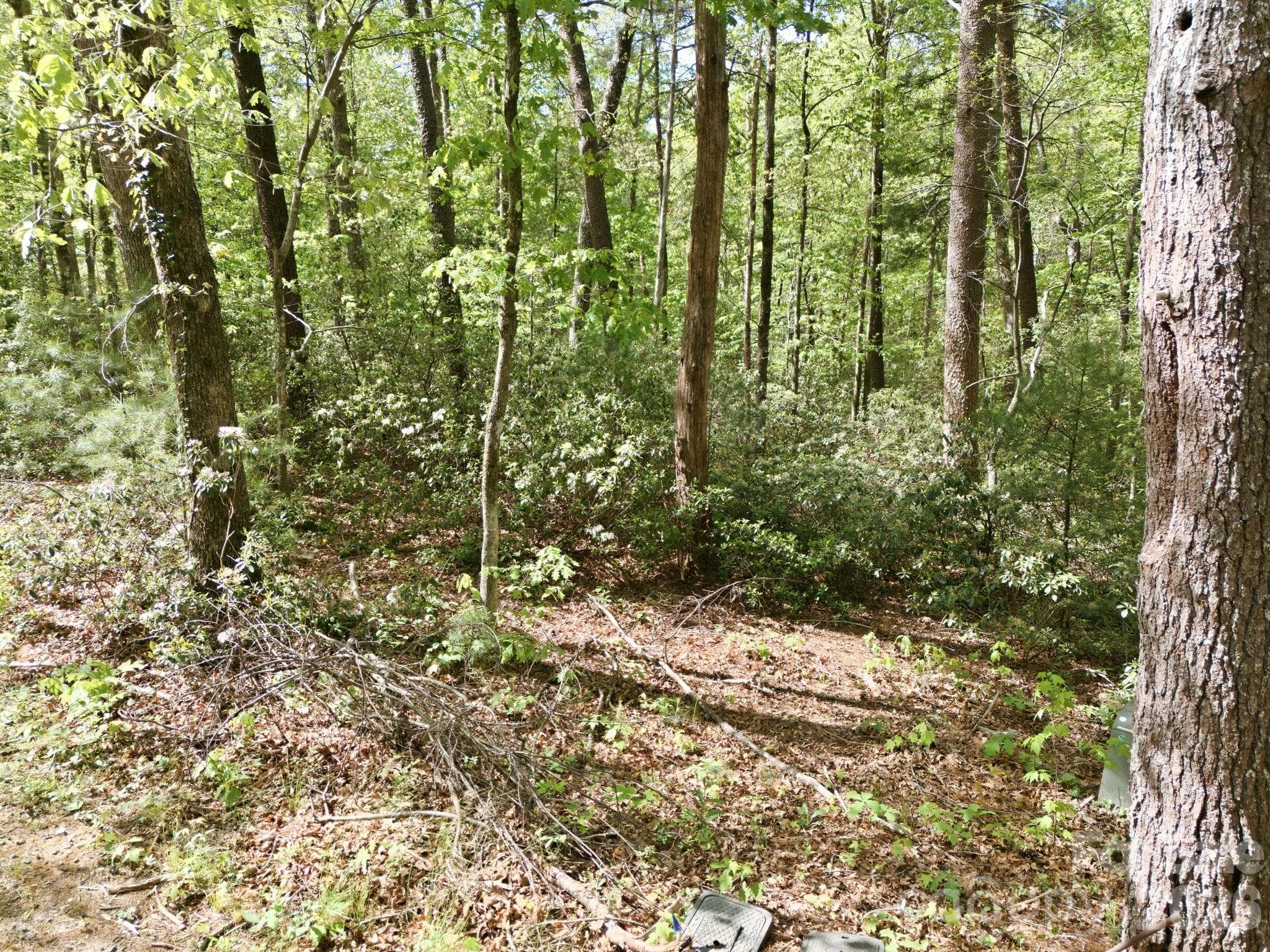 Lot at Lake Lure, photo 9 of 15