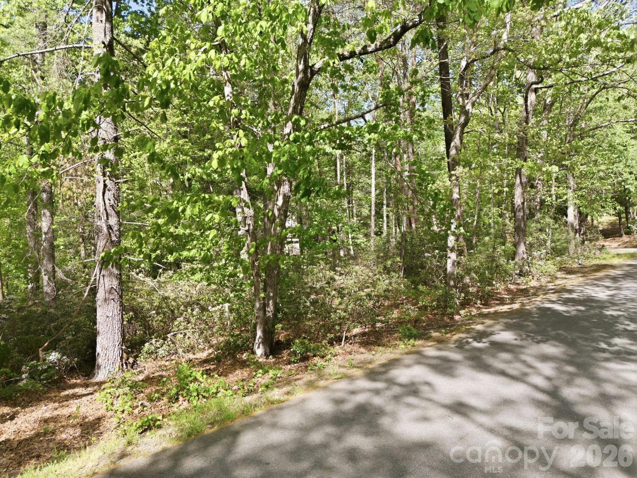 Lot at Lake Lure, photo 11 of 15