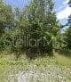 245 N ROMERO ST