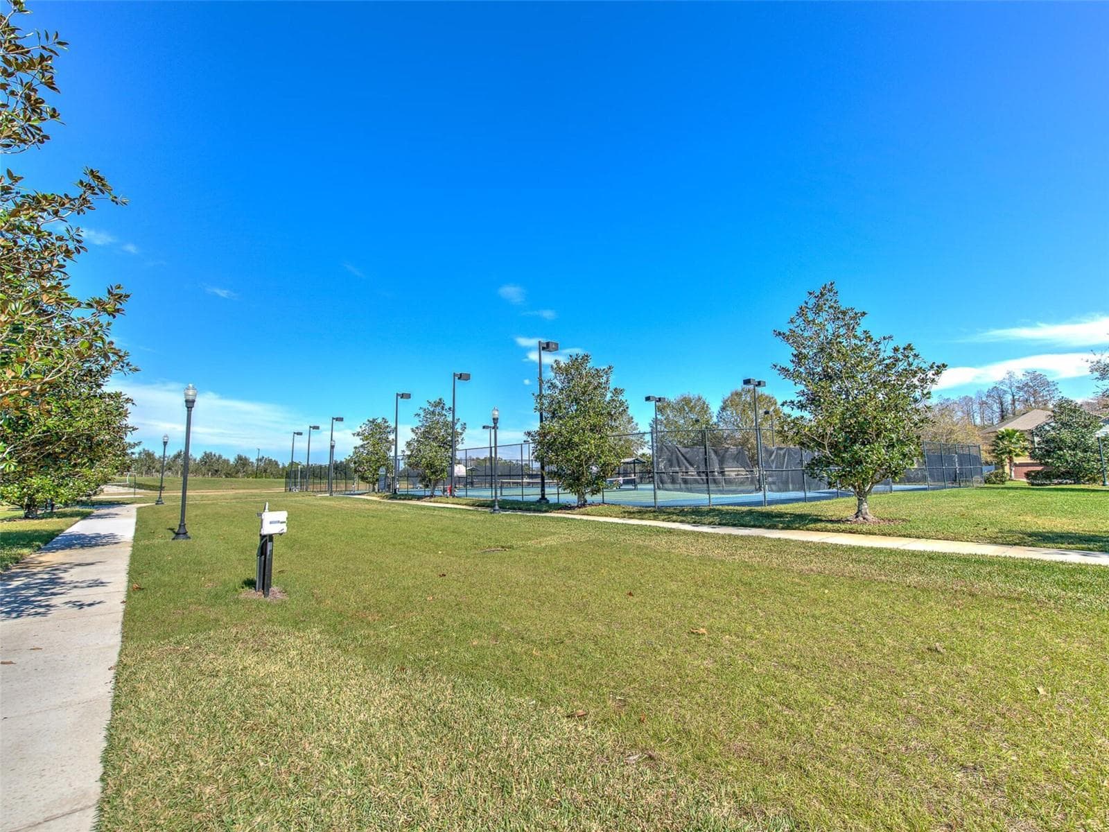 Single Family Residence at 20629 WILD PLUM CT, LAND O LAKES, photo 88 of 89