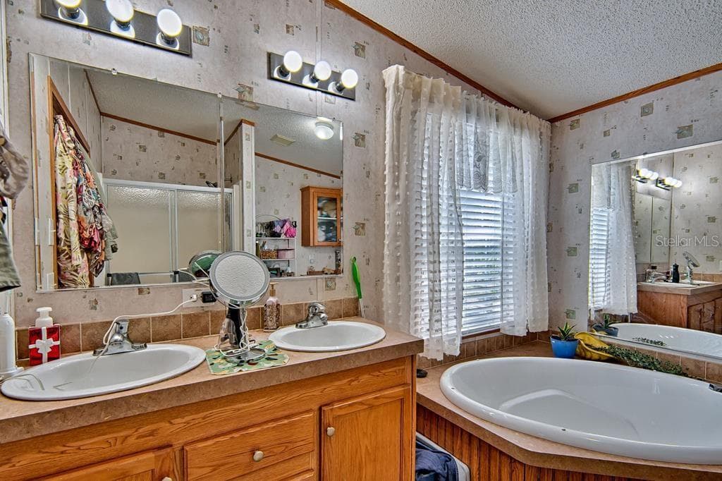 primary bathroom, dual sinks, garden tub - 10250 NW 67TH PL, CHIEFLAND