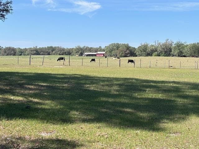 cows for neighbors - 10250 NW 67TH PL, CHIEFLAND