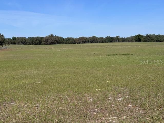 open pasture - 10250 NW 67TH PL, CHIEFLAND