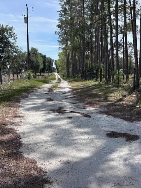 quaint, quiet country road leads to the home - 10250 NW 67TH PL, CHIEFLAND