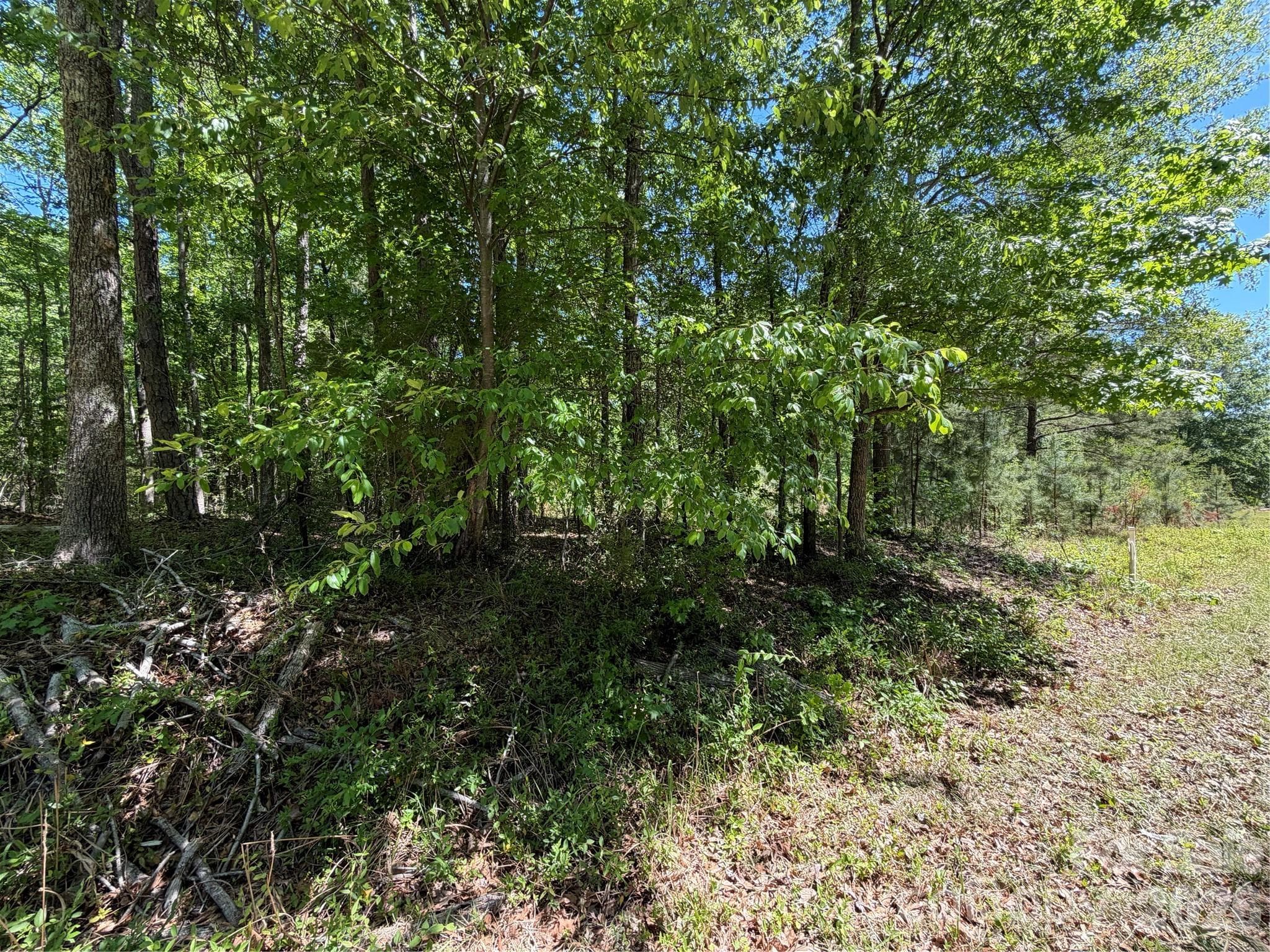 Acreage at 00 Providence Road, Lancaster, photo 5 of 12