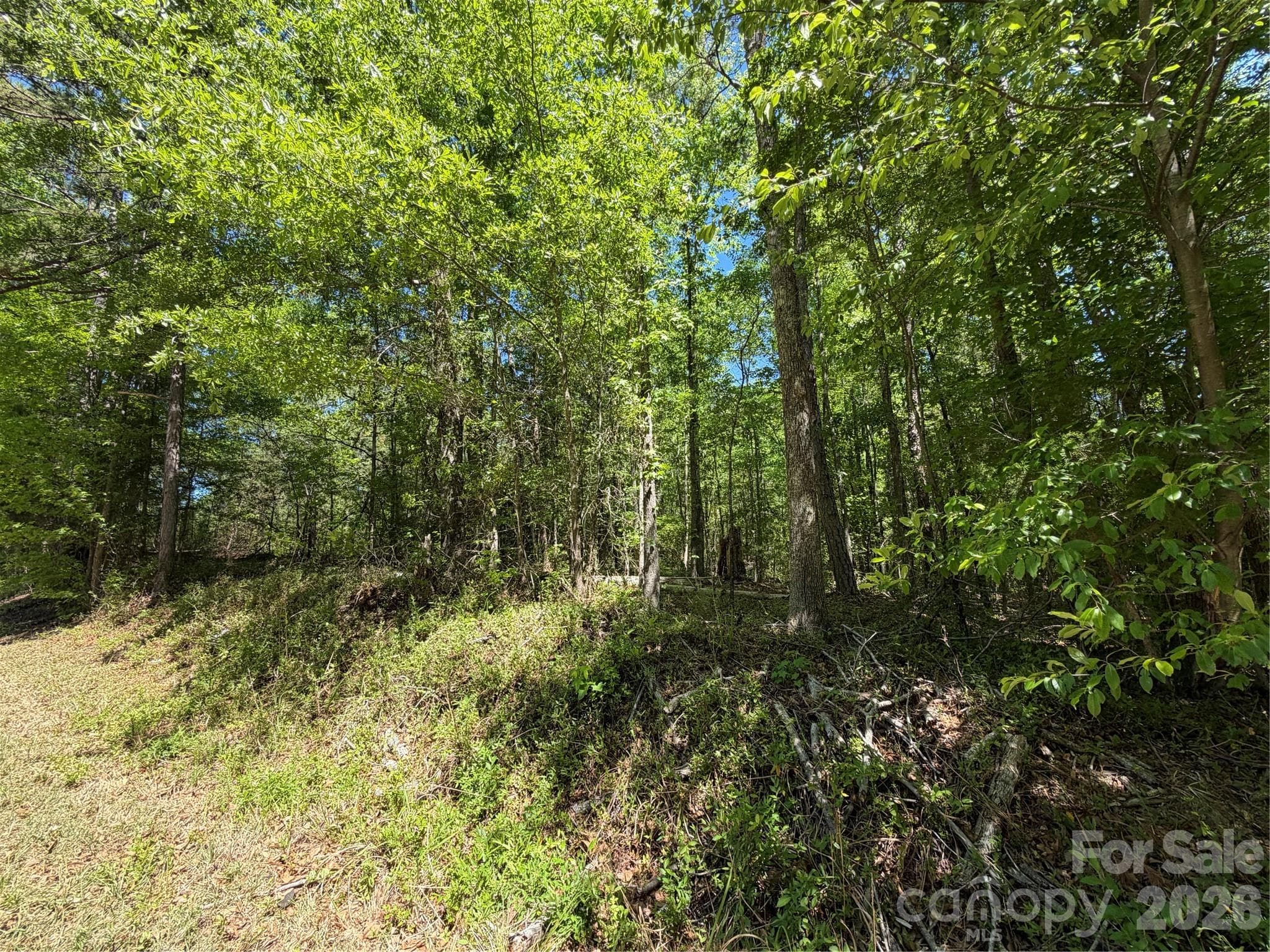 Acreage at 00 Providence Road, Lancaster, photo 6 of 12