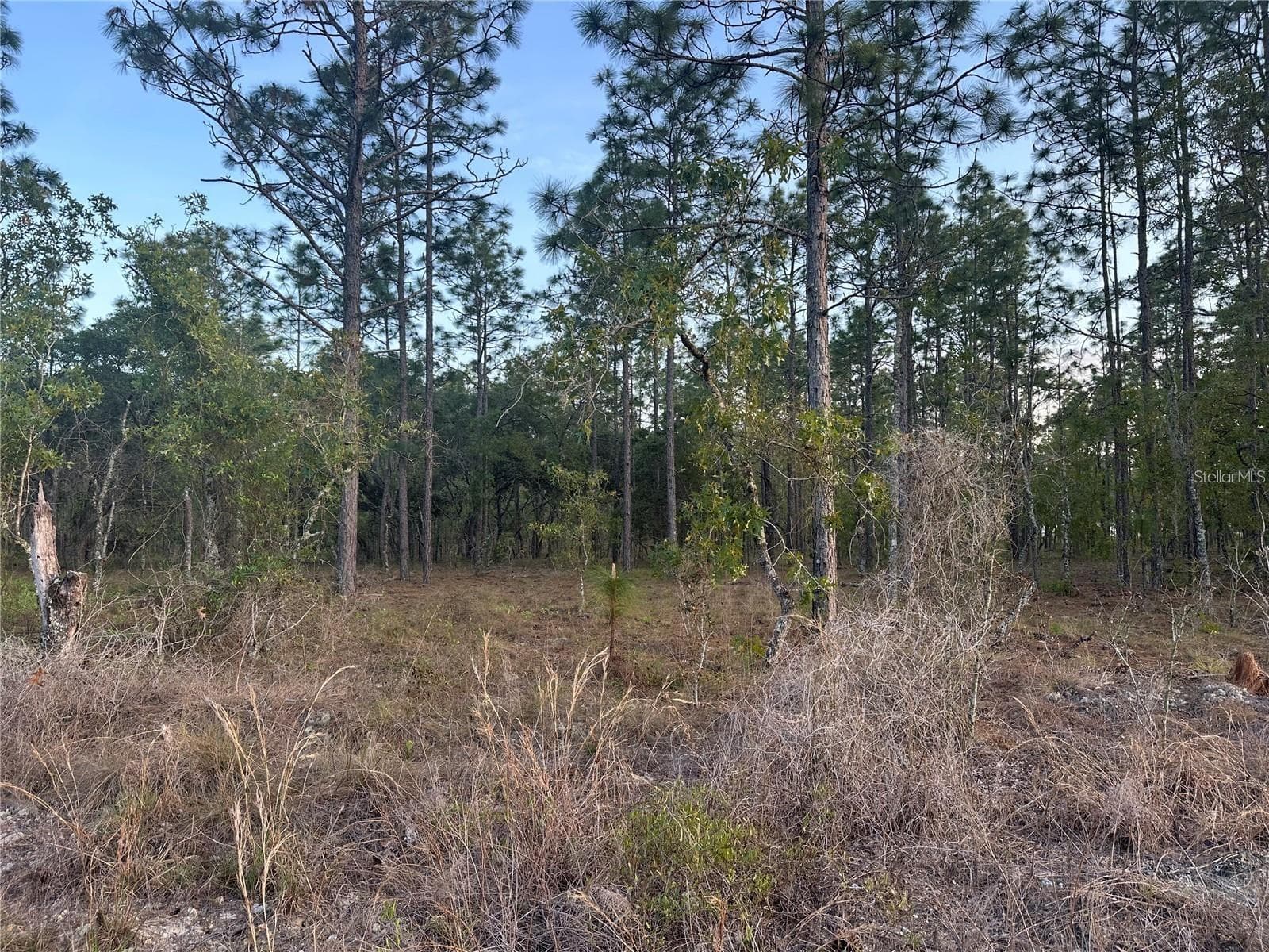 LOT 3 NW AMBERJACK AVE.