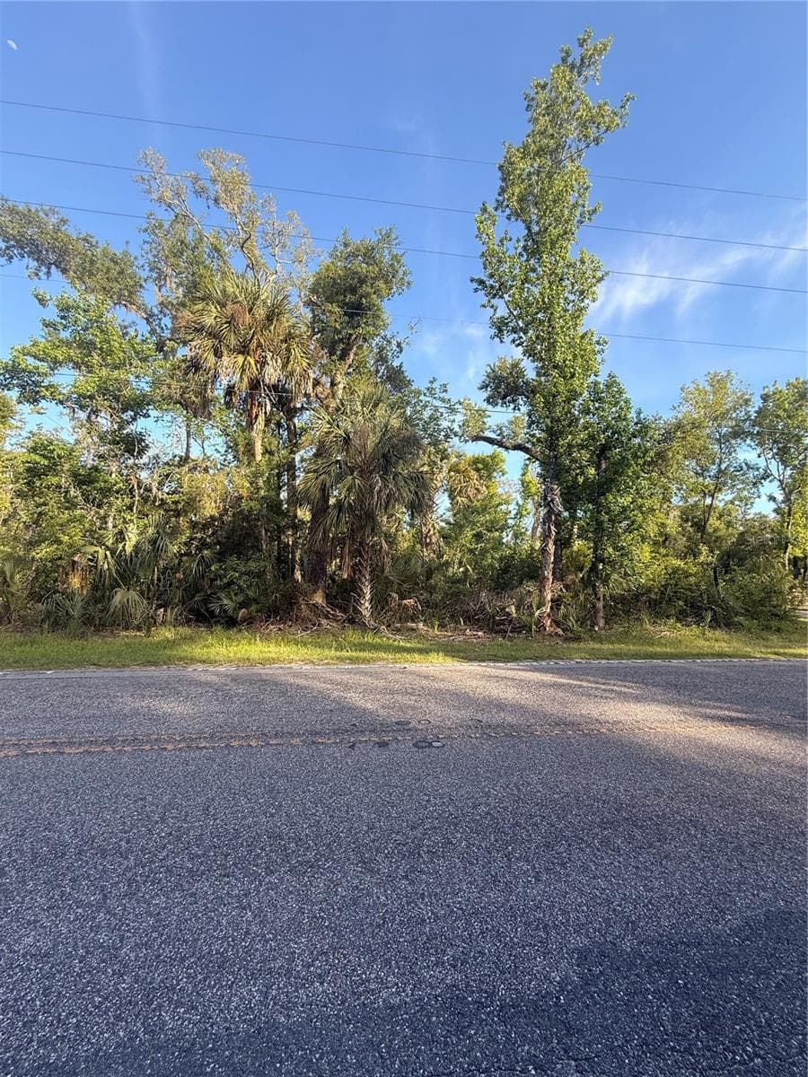 10274 W OZELLO TRL