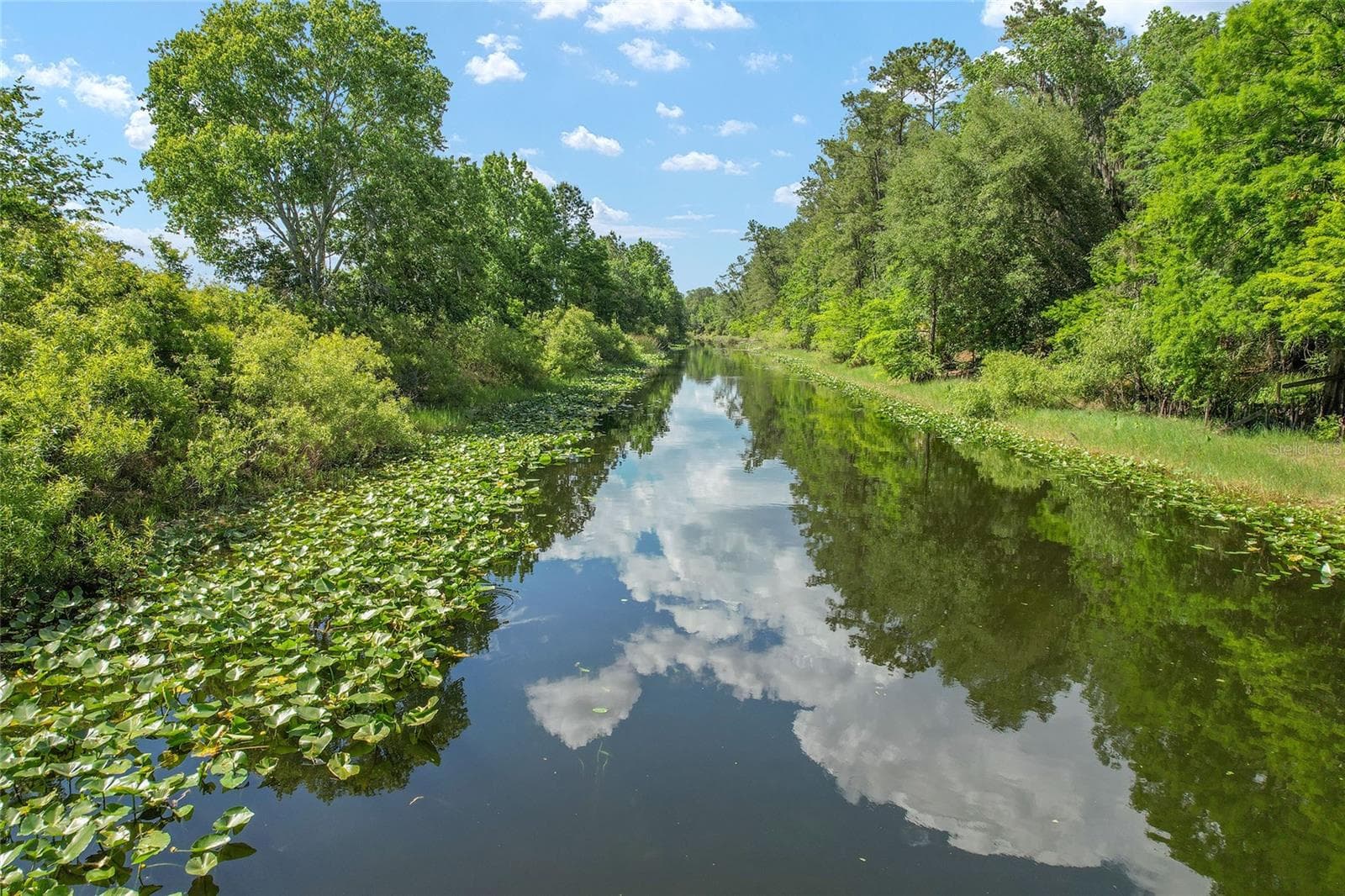 Farm at 15120 SE 85TH ST, OCKLAWAHA, photo 14 of 55