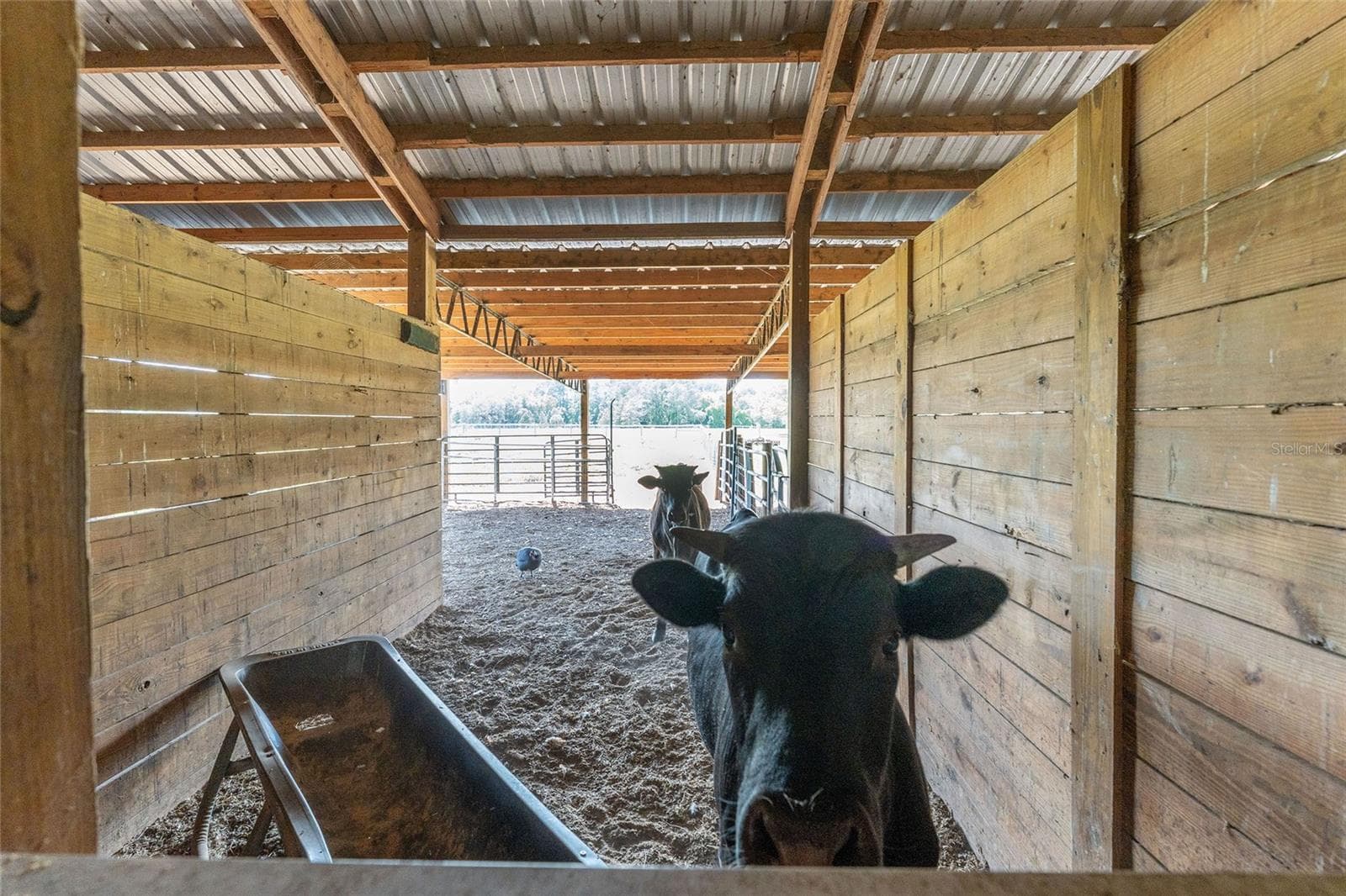 Farm at 15120 SE 85TH ST, OCKLAWAHA, photo 36 of 55