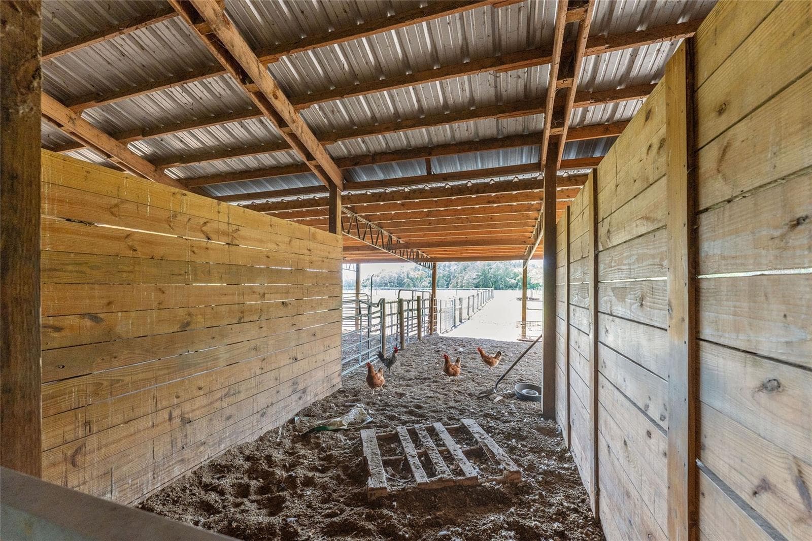 Farm at 15120 SE 85TH ST, OCKLAWAHA, photo 37 of 55
