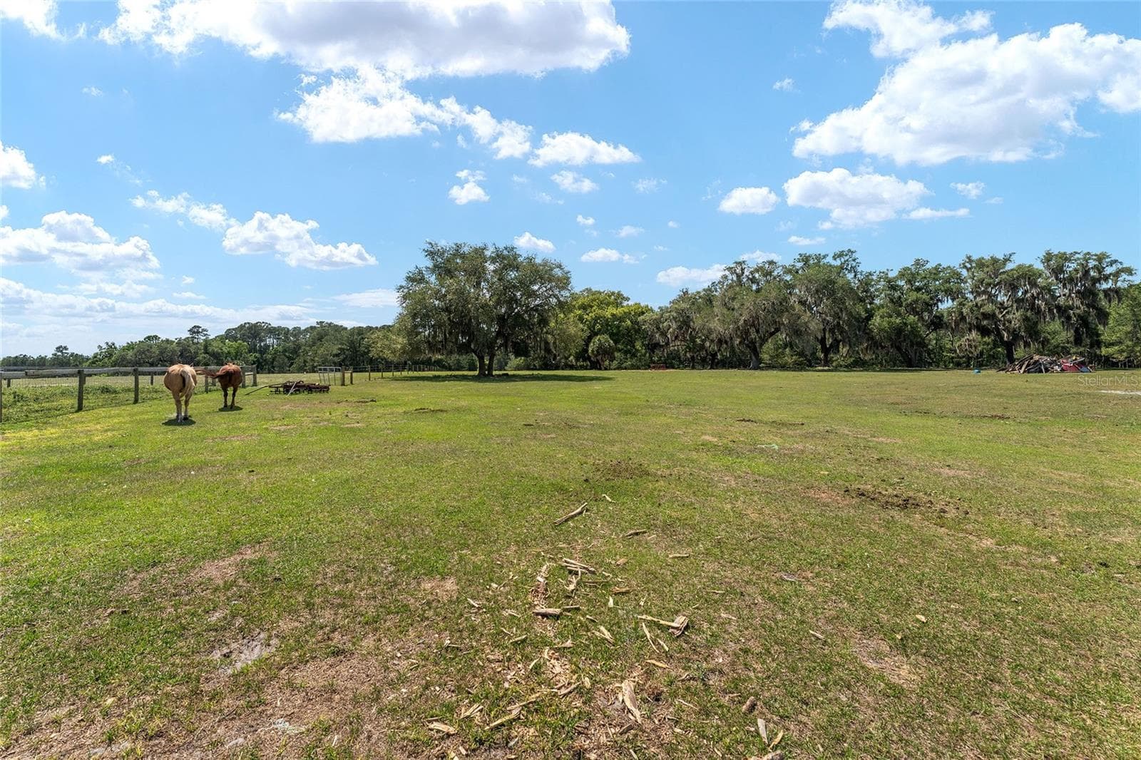 Farm at 15120 SE 85TH ST, OCKLAWAHA, photo 41 of 55